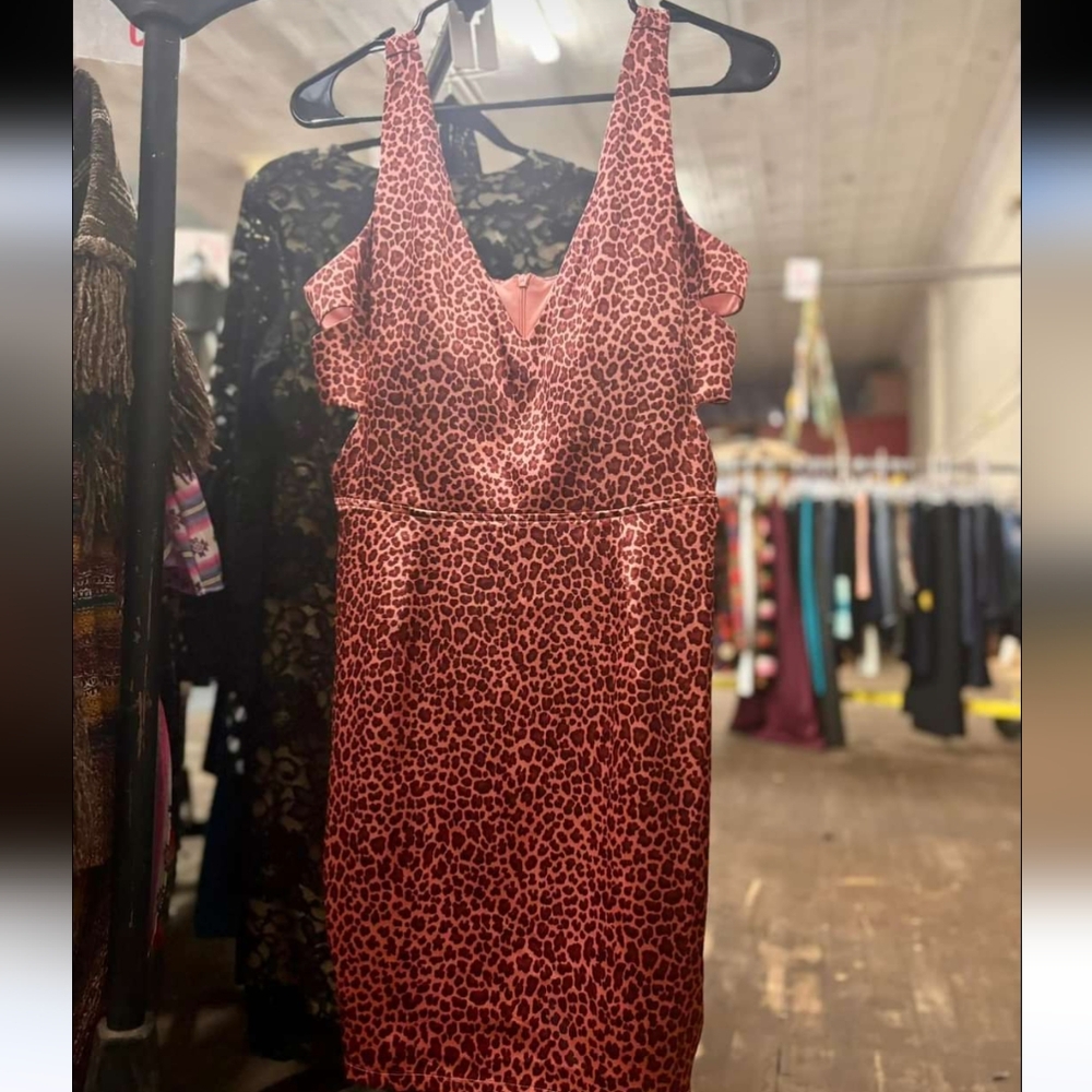 FLASH SALE 5/15/26🩷Sweat Storm pink animal print dress - Sz L